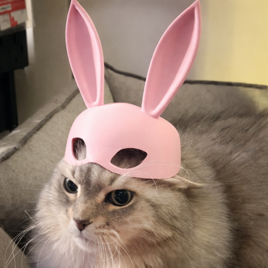 Tavşan Kulaklı Kedi Maskesi | 3D Baskı Sevimli Pet Fotoğraf Aksesuarı