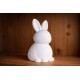 3D Baskı Tavşan Biblo | Minimalist Bunny Dekor | Sevimli Masaüstü Süs