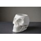 Kuru Kafa Kalemlik – Dekoratif Masa Üstü Organizer (Skull Tasarım Kalem Tutucu, Gothic Ofis Aksesuarı)